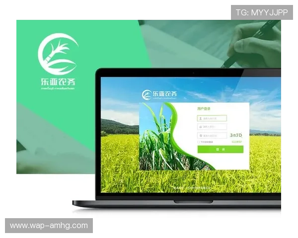 皇冠登3平台出租的优势解析及用户体验反馈与建议